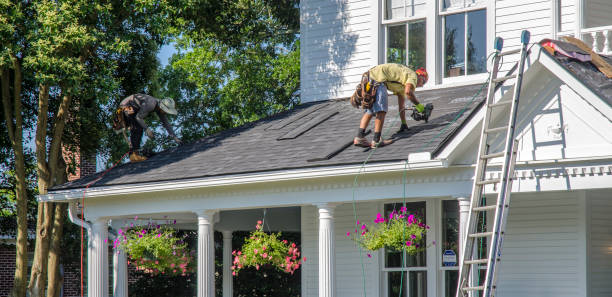 Best Chimney Flashing Repair  in Hiawatha, KS